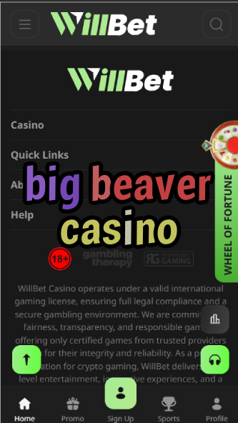 Big Beaver Casino - Michigan Casino Resort-casinoorder.vip